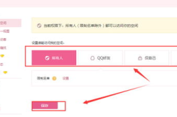 Q空间访问设置成私密,私密访问背后的神秘世界