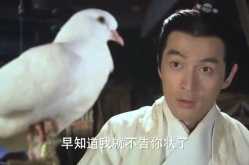 信鸽小姐姐,揭秘信鸽传递的传奇故事